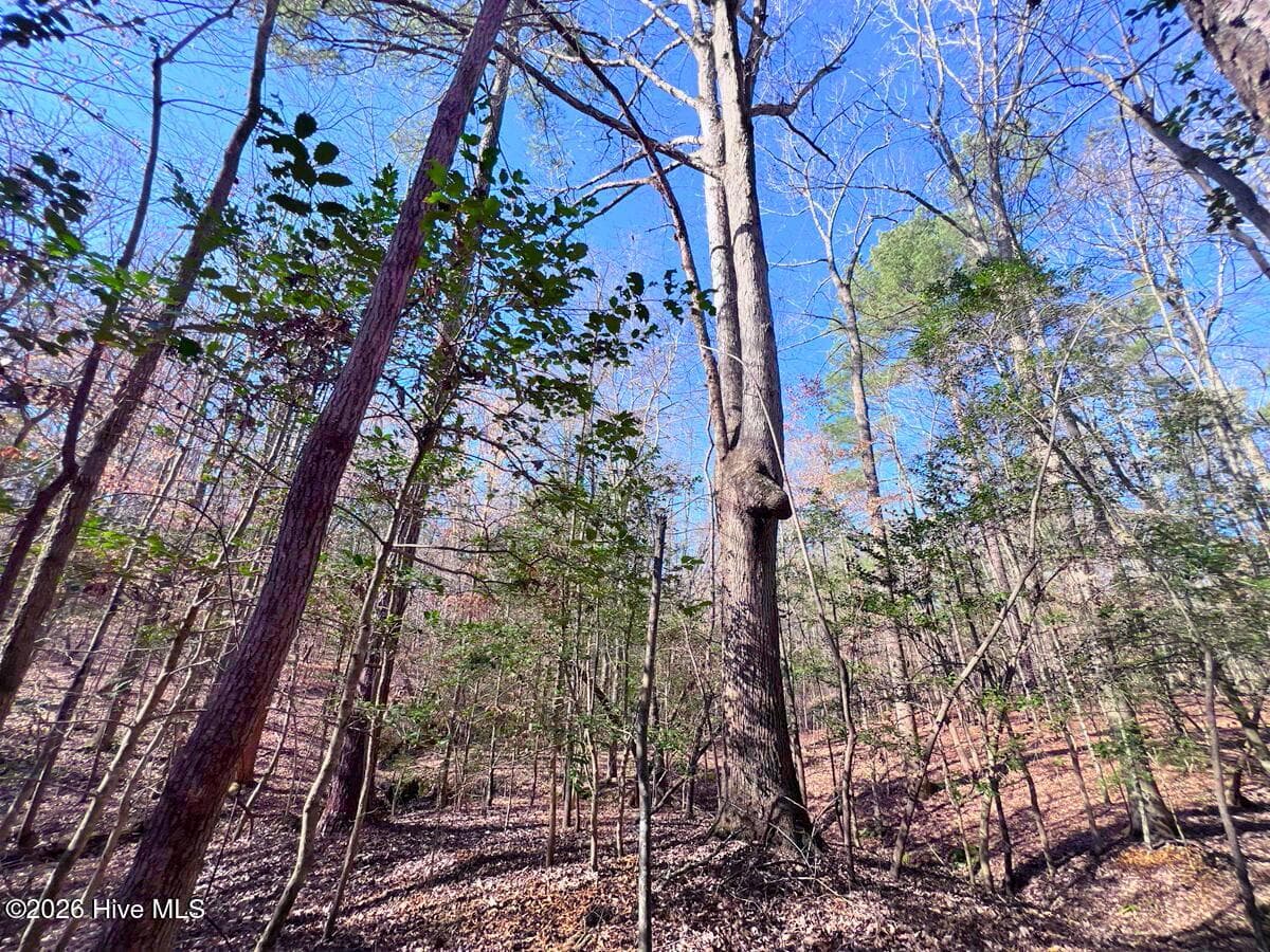 Residential Land at 0 Nc 98 Highway, Spring Hope, NC 27882, photo 34 of 39