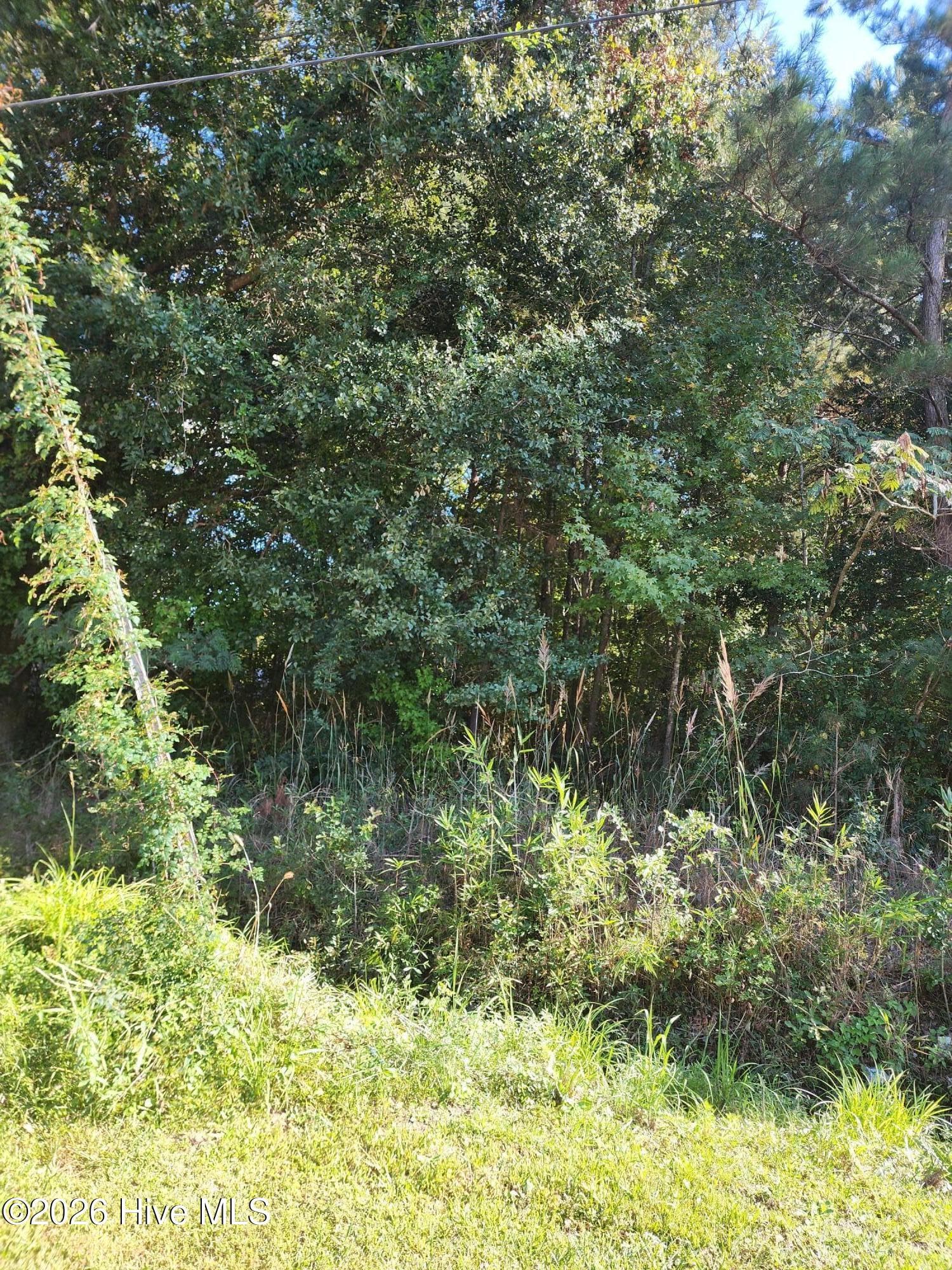 Lot to the Left of 709 - Lot 3 & 4 3 & 4 Hayes West St, Burgaw, NC 28425