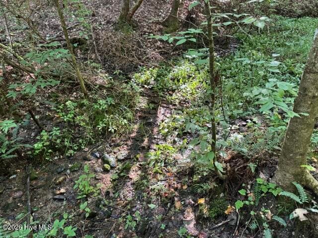 Residential Lot at 5 Tyler Lane, Marble, NC 28905, photo 15 of 28