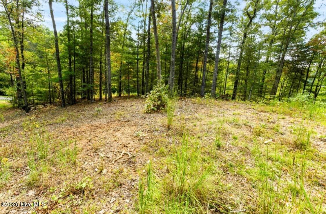 Residential Lot at Tbd Nature Valley Trail, Murphy, NC 28906, photo 8 of 19