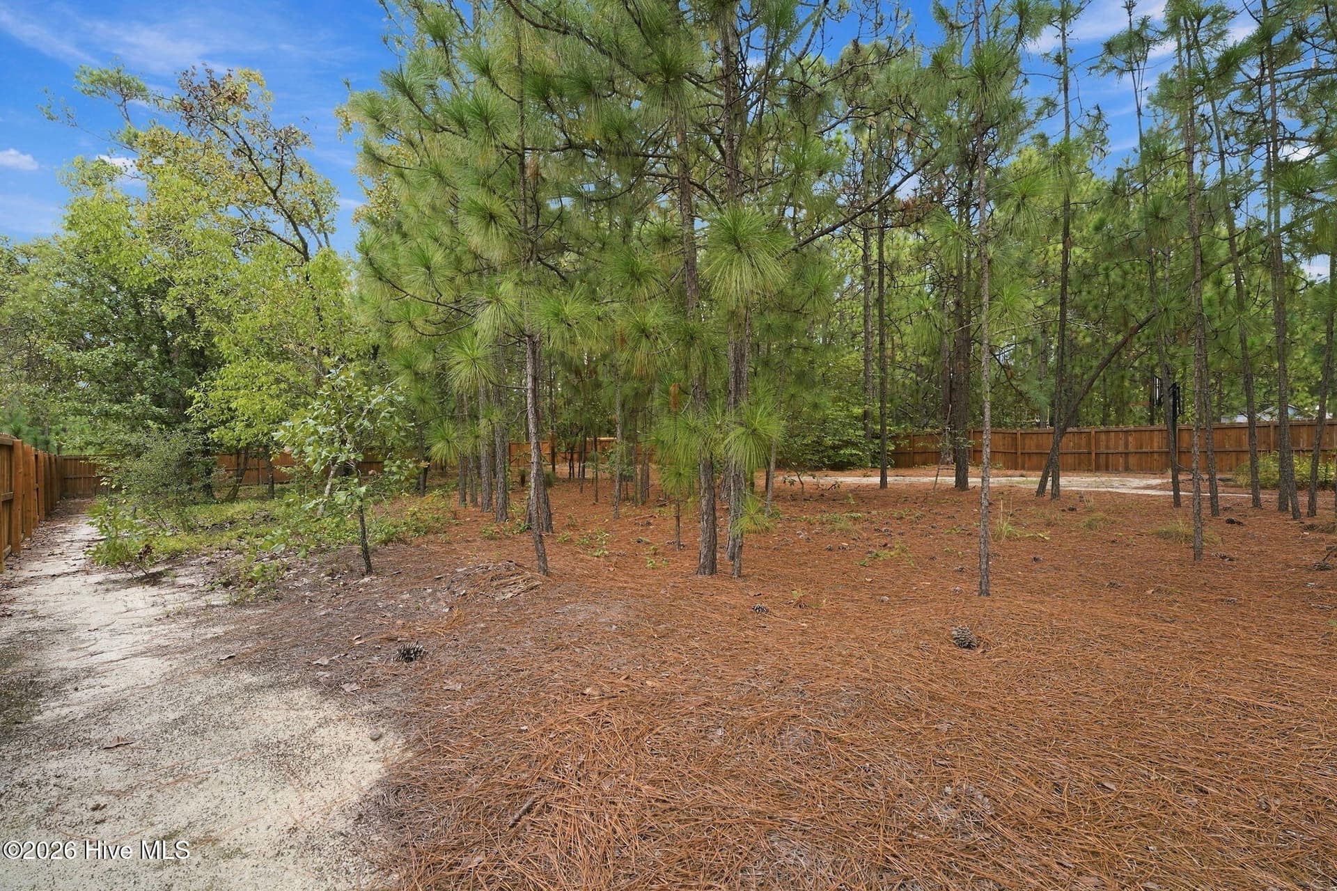 Back Yard - 1140 Whitney Drive, Aberdeen, NC 28315