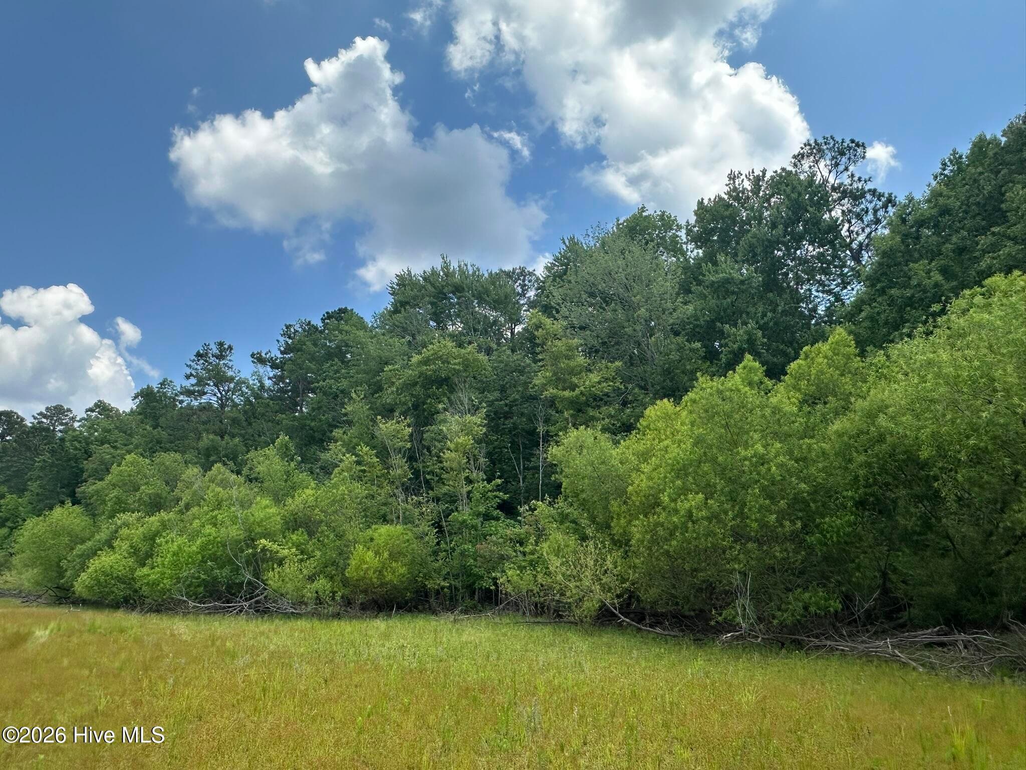 Residential Lot at Lot 17 Lakeshore Estates Drive, Lincolnton, GA 30817, photo 18 of 22