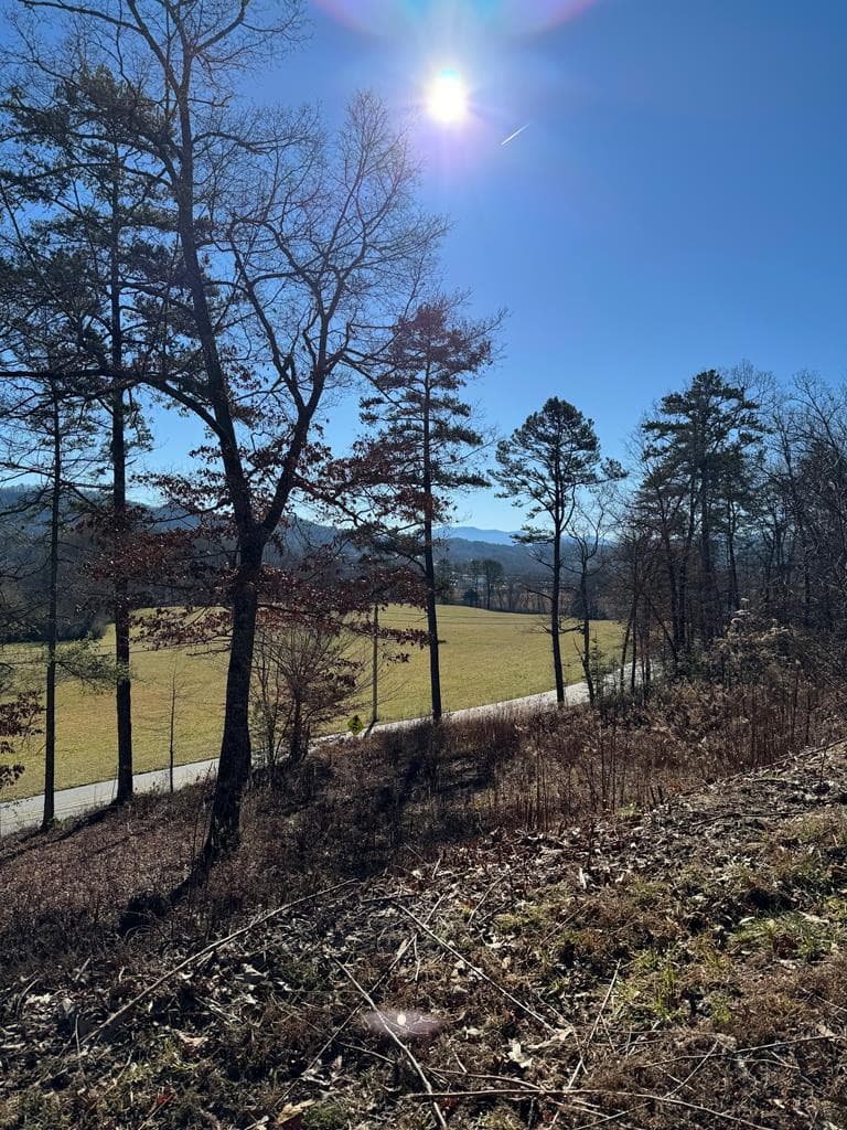 Land at 000 Mistletoe Ridge, Murphy, NC 28906, photo 29 of 30