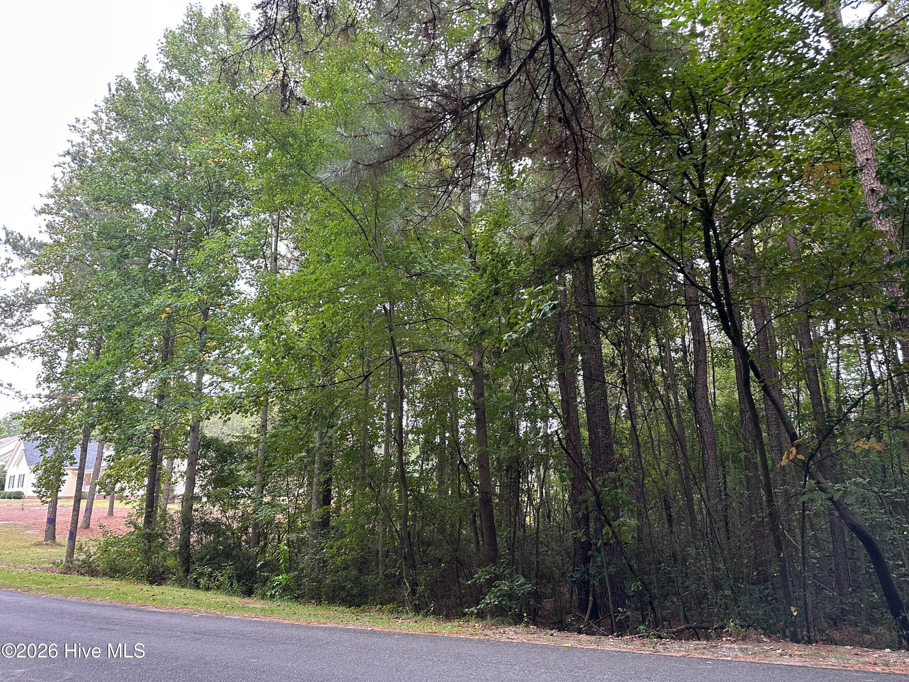 Residential Lot at 134 Bellhaven Drive, Carthage, NC 28327, photo 6 of 9