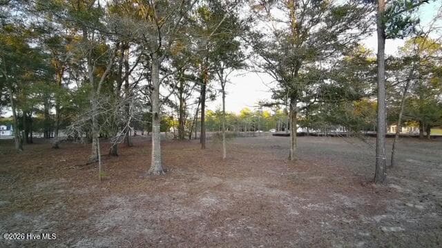 Residential Lot at 7504 88 Donegal Circle SW, Sunset Beach, NC 28468, photo 4 of 26