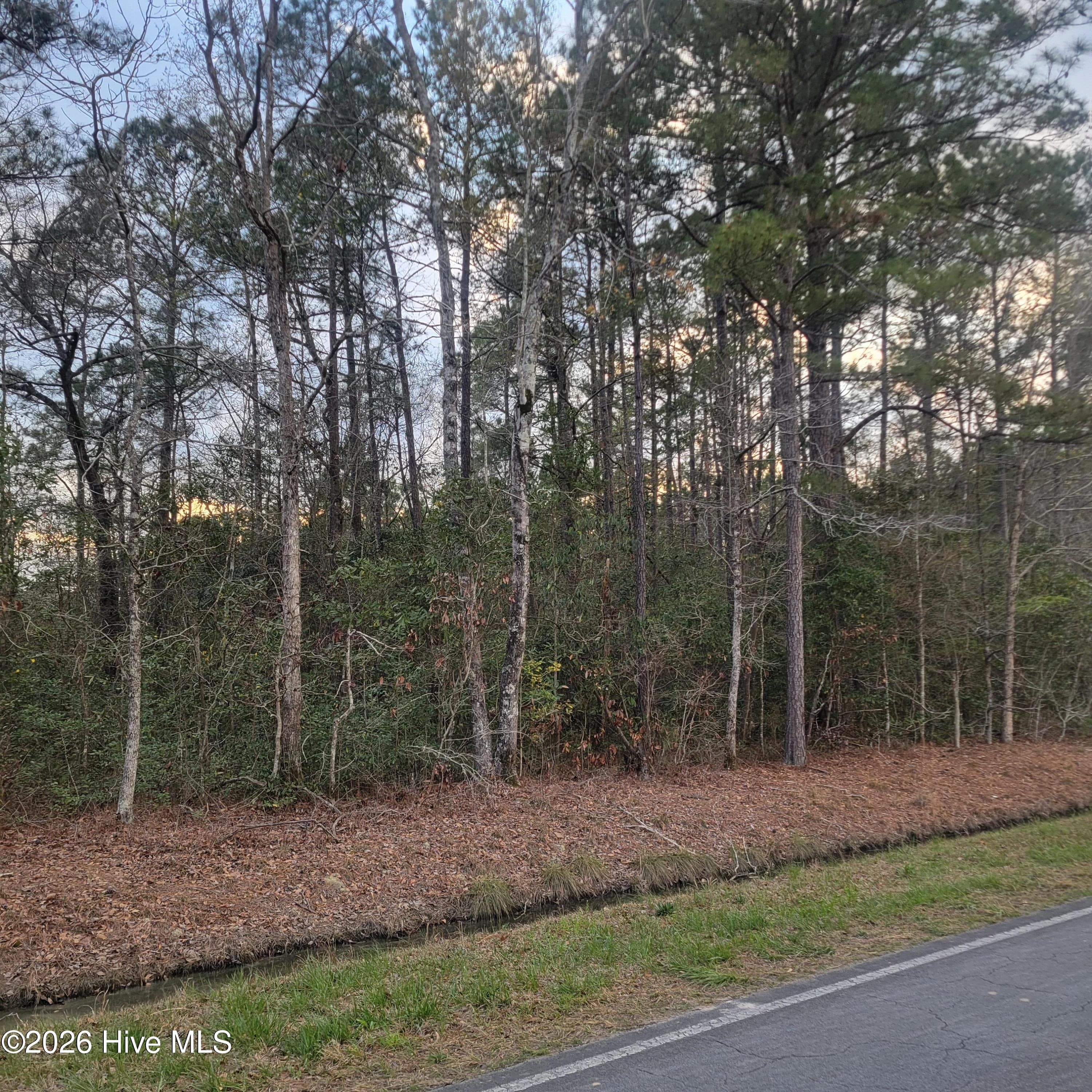 Residential Lot at Tract 8 Fennell Town Road, Rocky Point, NC 28457, photo 2 of 2