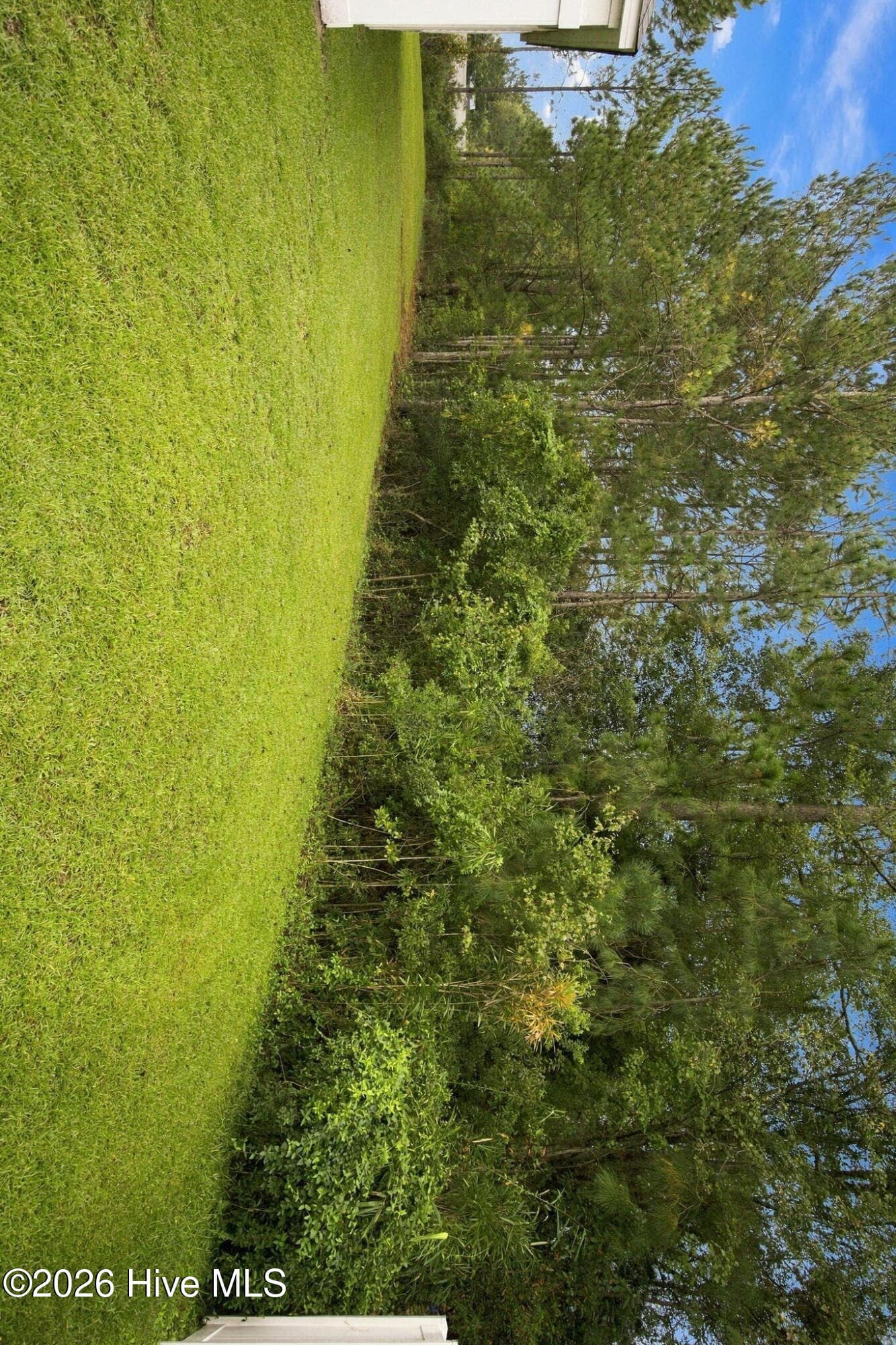 side yard - 2991 Hardsmith Street, Shallotte, NC 28470