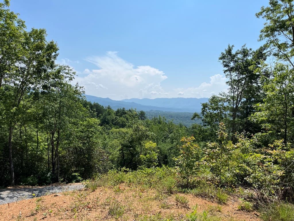501 26 Cliff Top Trail, Andrews, NC 28901