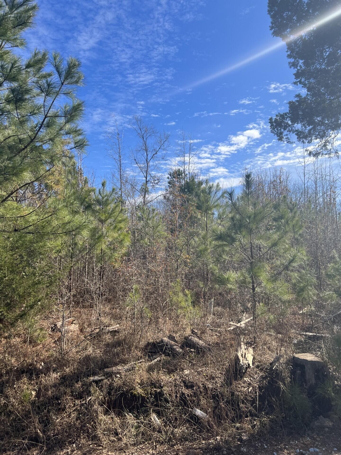 Residential Lot at 0 Clanton Road, Evans, GA 30809, photo 4 of 10