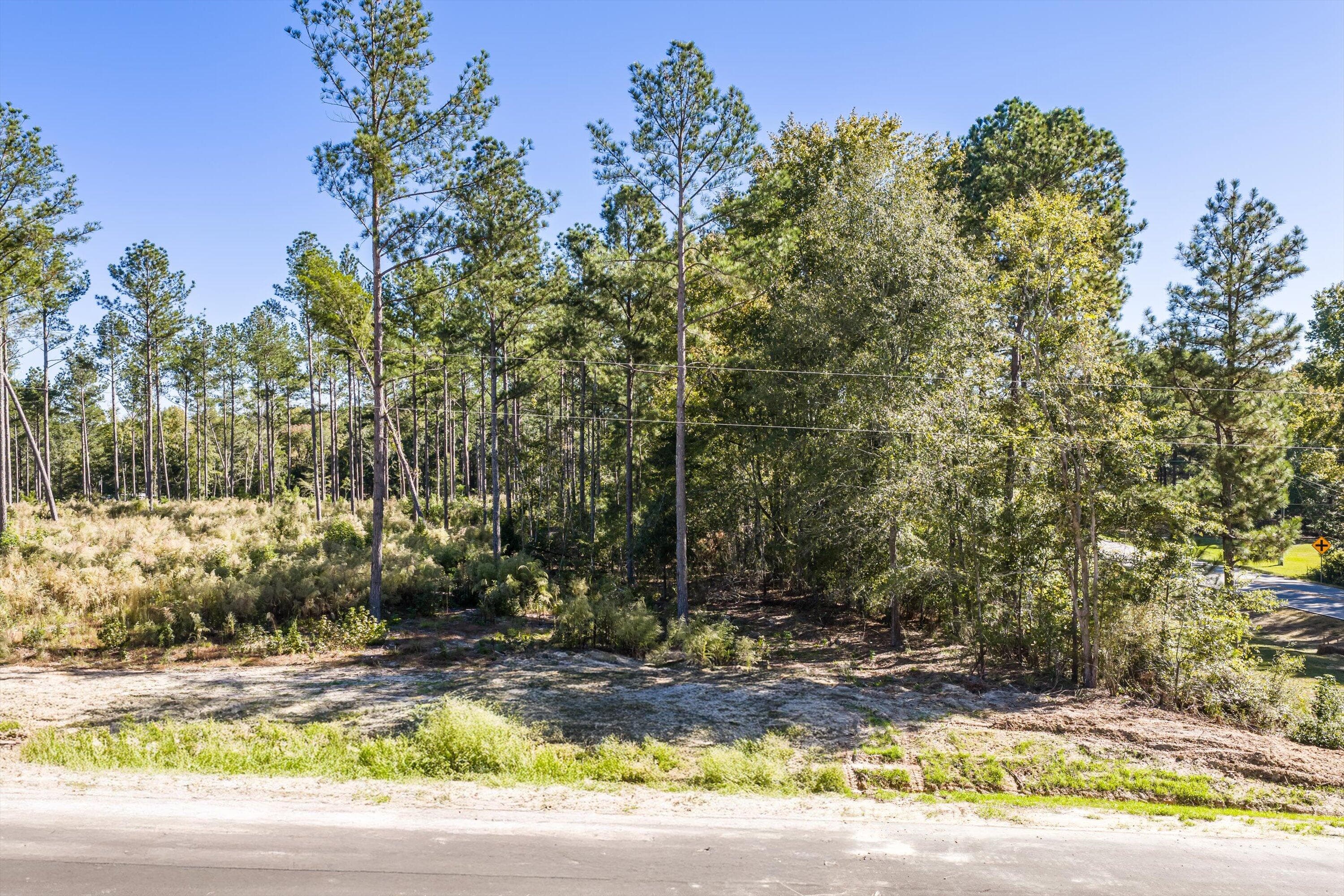 Residential Lot at 111 Beagle Chase Drive, Appling, GA 30802, photo 5 of 6