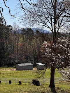 Undeveloped at 9-11 Sugar Maple Road, Murphy, NC 28906, photo 7 of 7