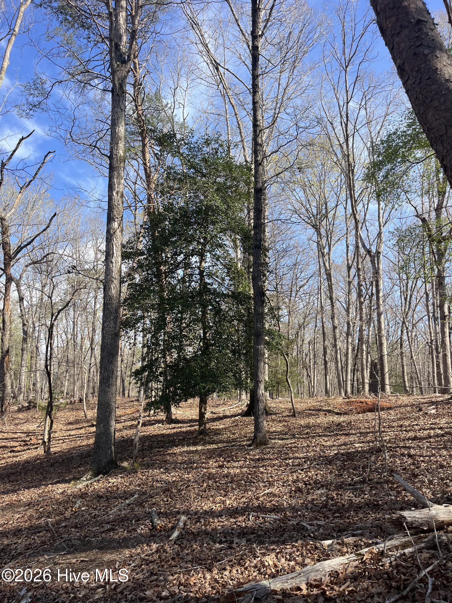 Undeveloped at Tbd Haltiwanger Retreat Road, Troy, NC 27371, photo 17 of 21