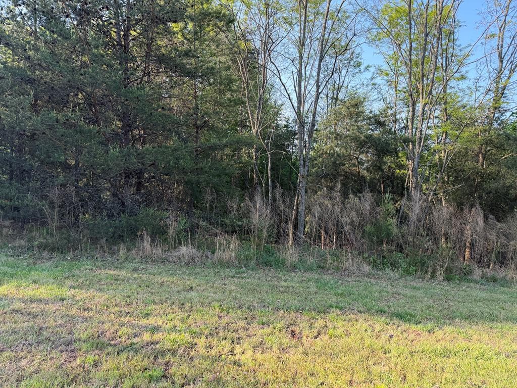 Land at Lot #20 20 Yellow Maple Drive, Murphy, NC 28906, photo 12 of 14