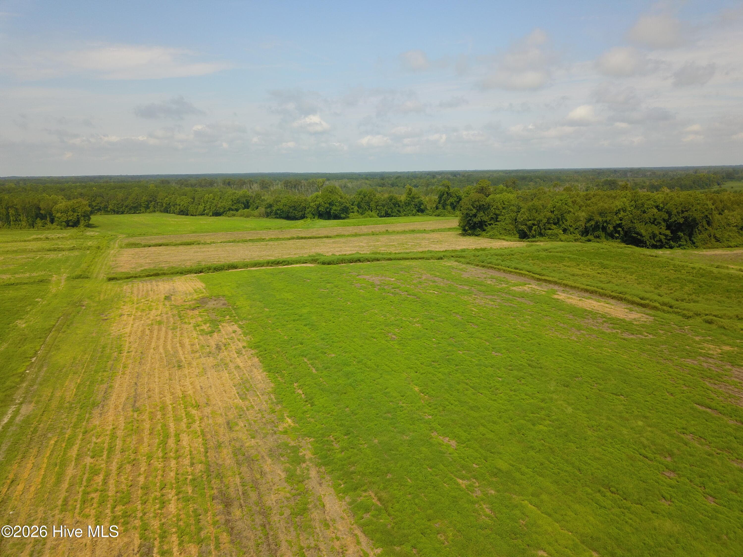 Farm at 2 S Nc 41 Highway, Wallace, NC 28466, photo 3 of 7