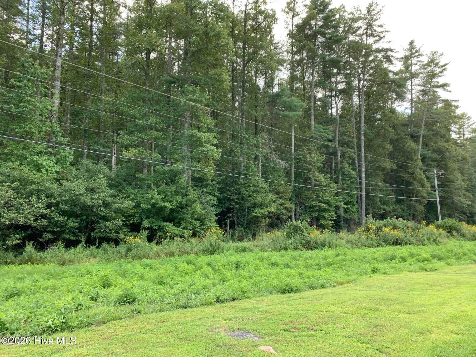 Wooded at 2.87 Ac Hedden Road, Murphy, NC 28906, photo 2 of 14