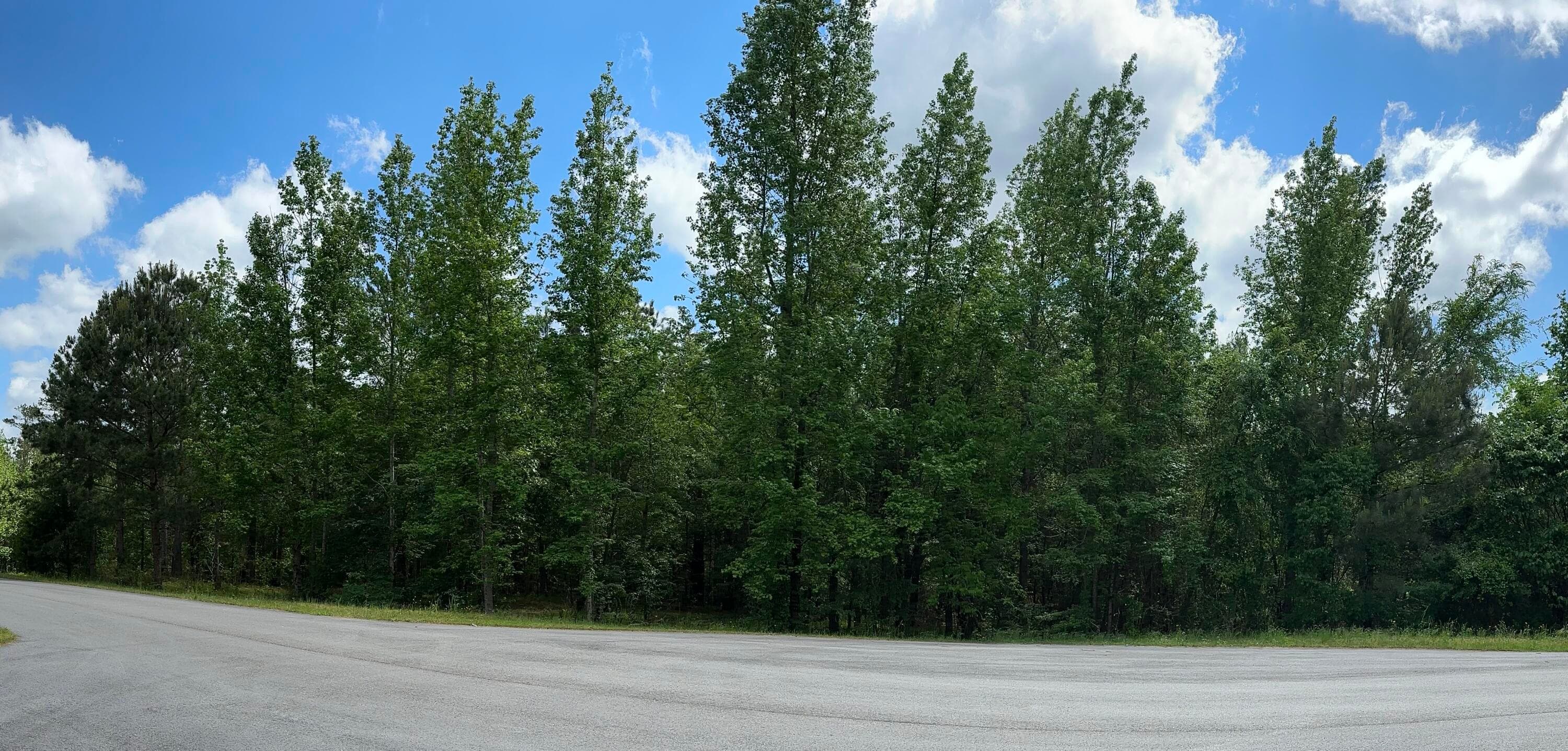 1403 Dunwoody Place, Appling, GA 30802