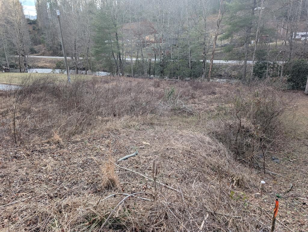 Land at Lot 3 Riverview, Robbinsville, NC 28771, photo 7 of 33