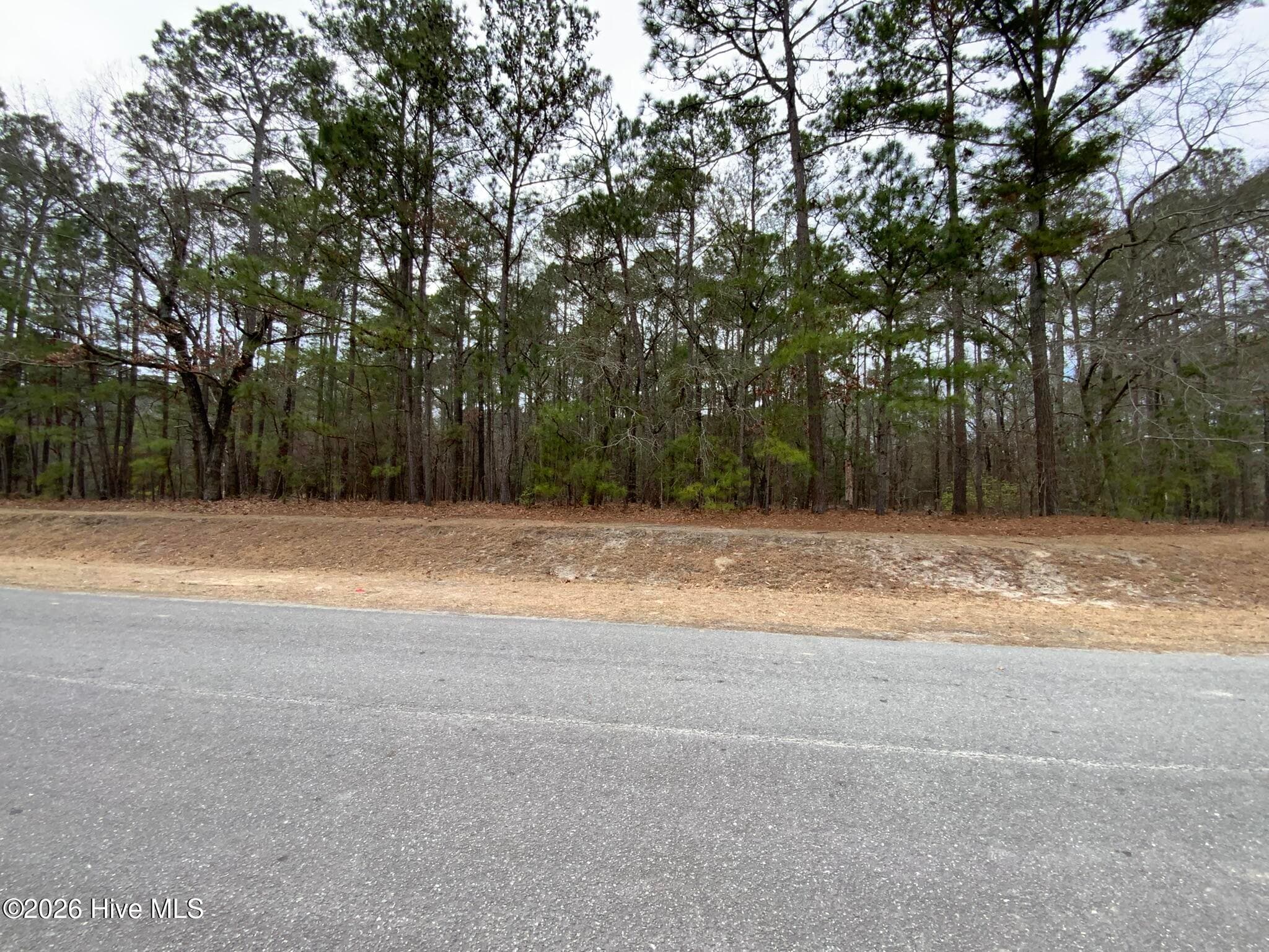 Residential Lot at 101 Long Leaf Lane, Goldsboro, NC 27534, photo 2 of 3