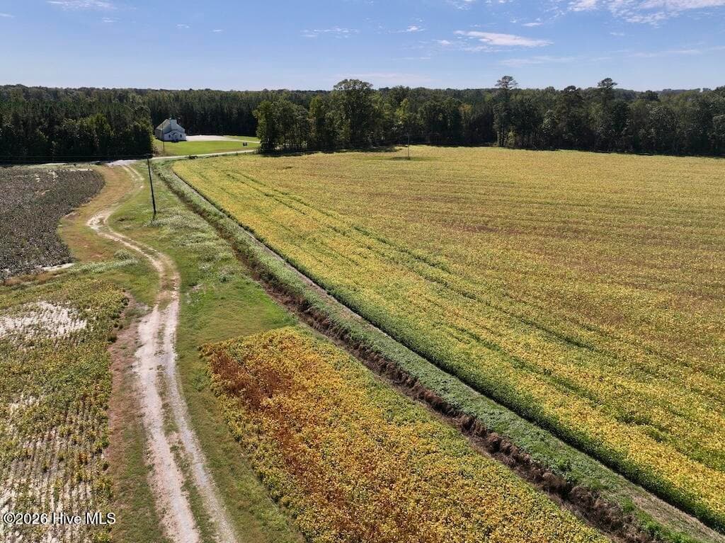 Mixed Use at 0 Spring Hill Road, Scotland Neck, NC 27874, photo 62 of 93