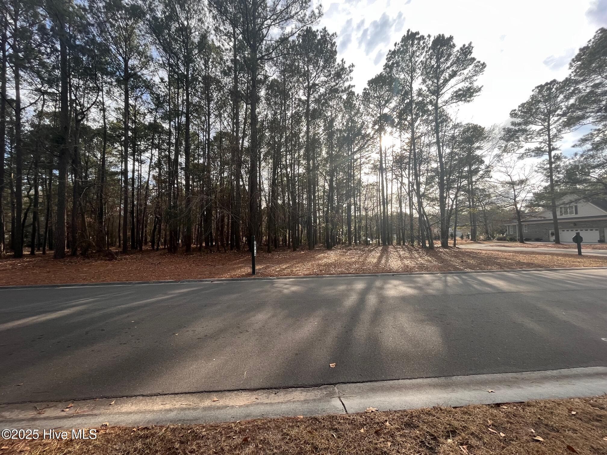 Residential Land at 264 Red Fox Run Drive, Wallace, NC 28466, photo 3 of 6