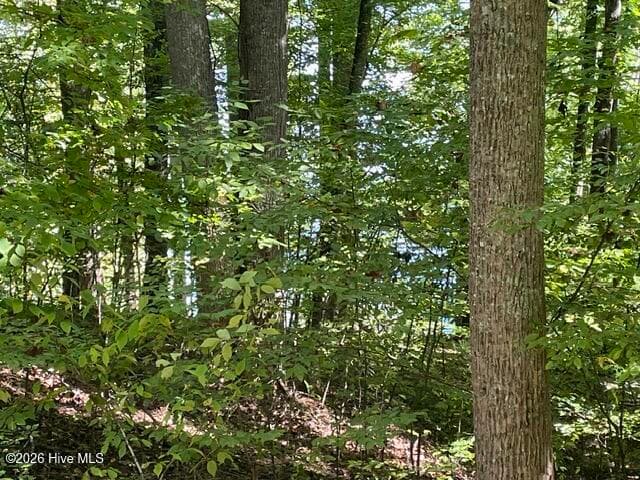 00 Rocky Branch Overlook, Topton, NC 28781