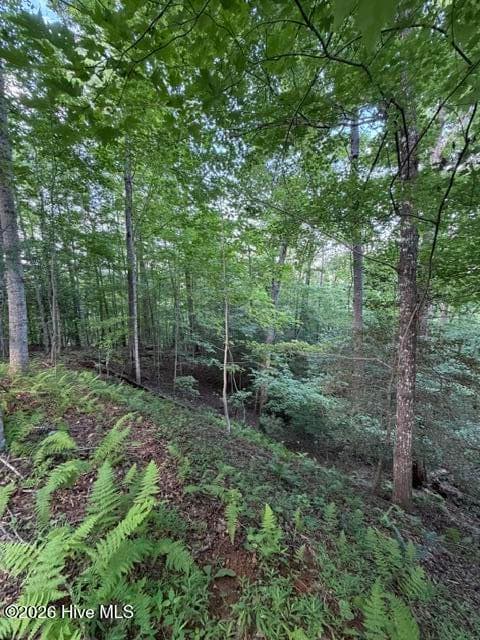 Undeveloped at Lot 59 Quiet Mountain Trail, Murphy, NC 28906, photo 3 of 10