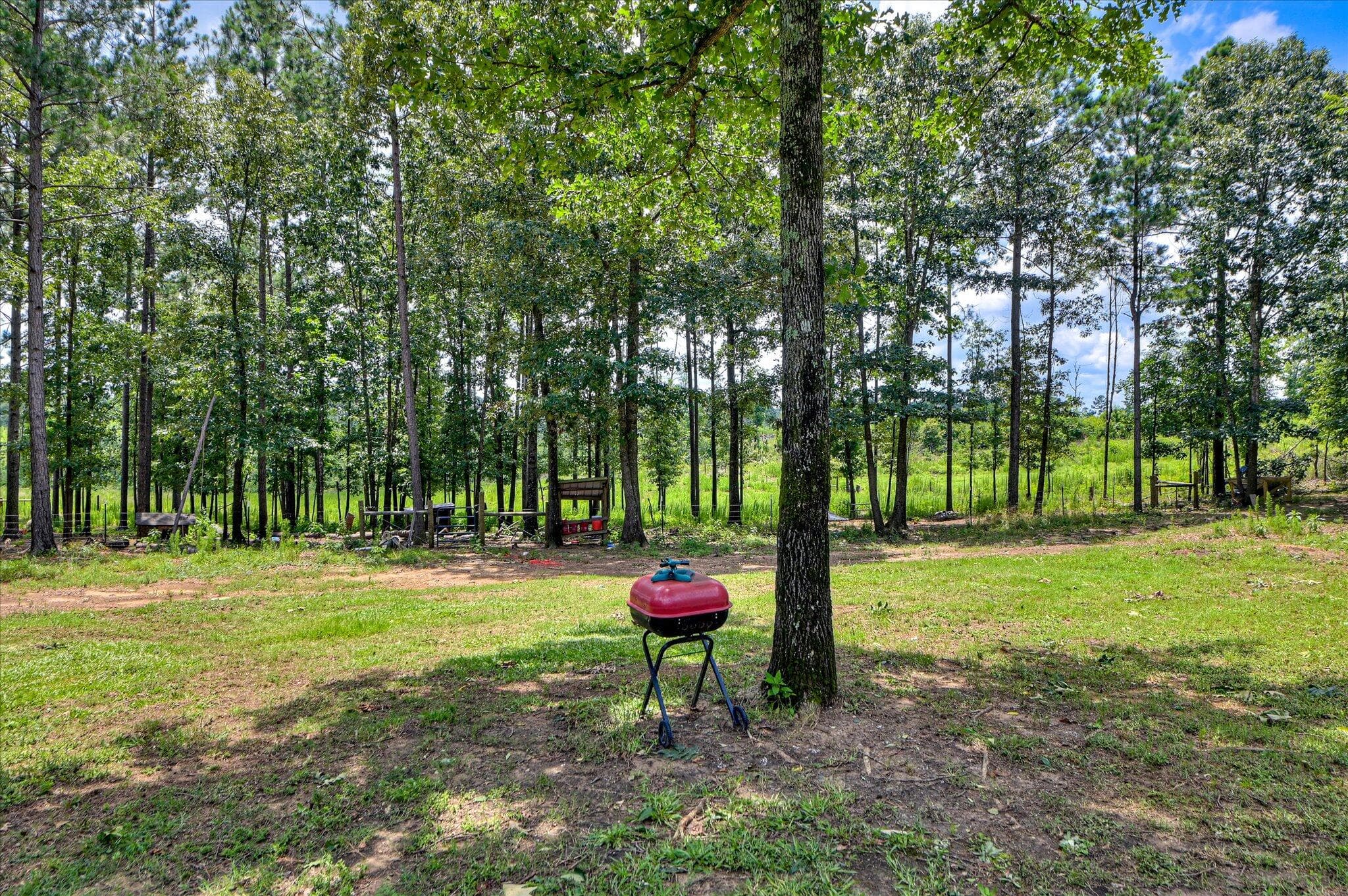 Single Family Residence at 196 Brodie Hall Road, Wagener, SC 29164, photo 35 of 42