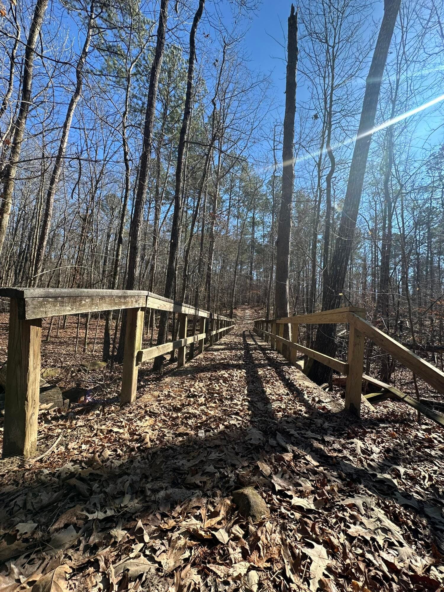 Residential Lot at Lot 31 31 Willow Way, Lincolnton, GA 30817, photo 13 of 24