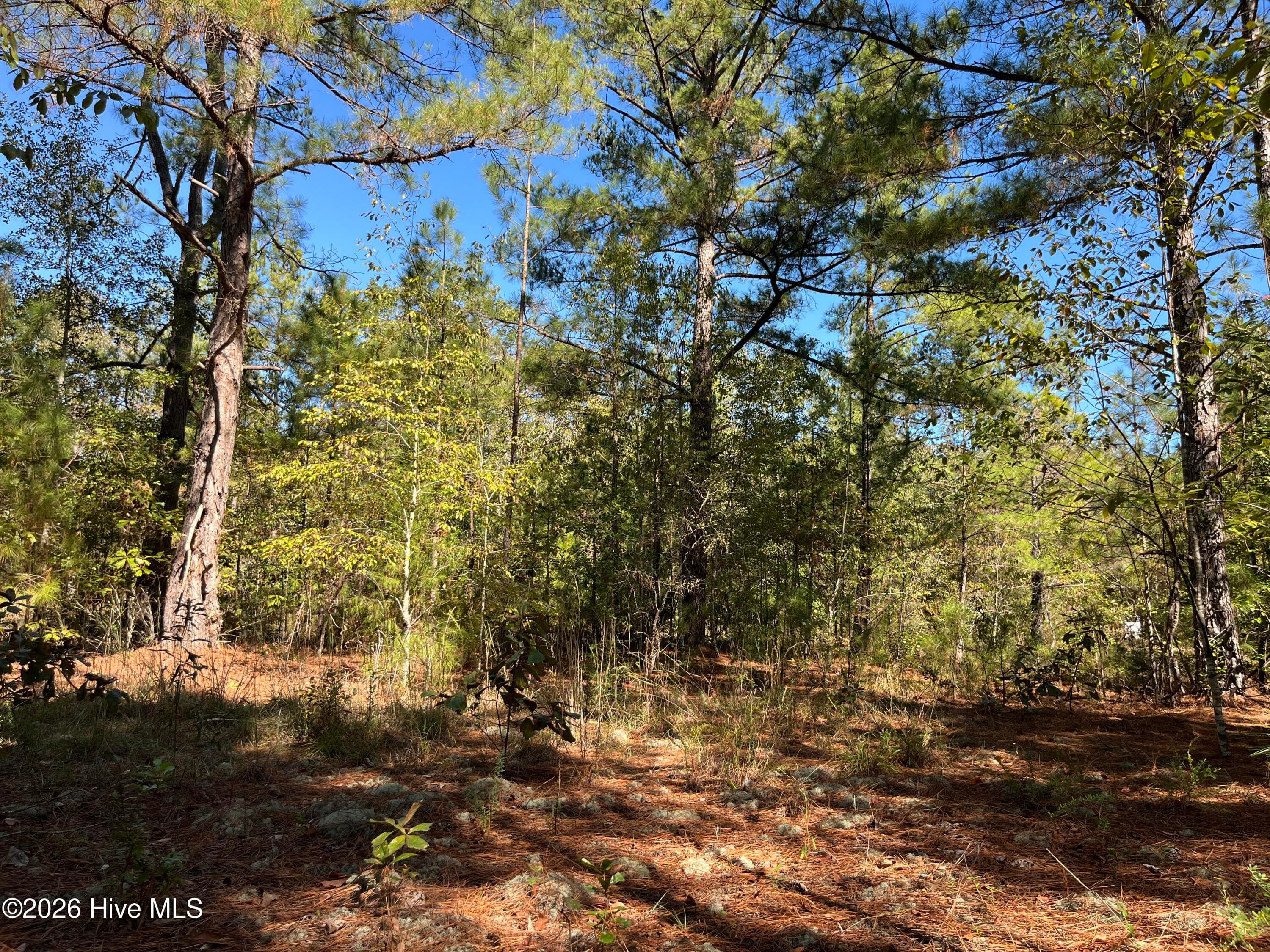 Residential Lot at Lot 9 Jasper Davis Road, Avera, GA 30803, photo 18 of 21
