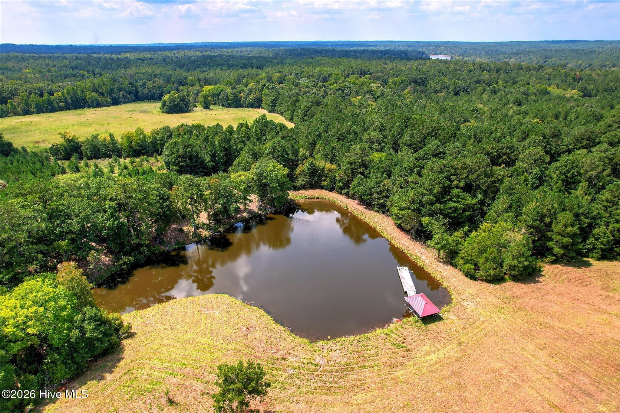 Farm at 2207 Mccormick Highway, Lincolnton, GA 30817, photo 8 of 14