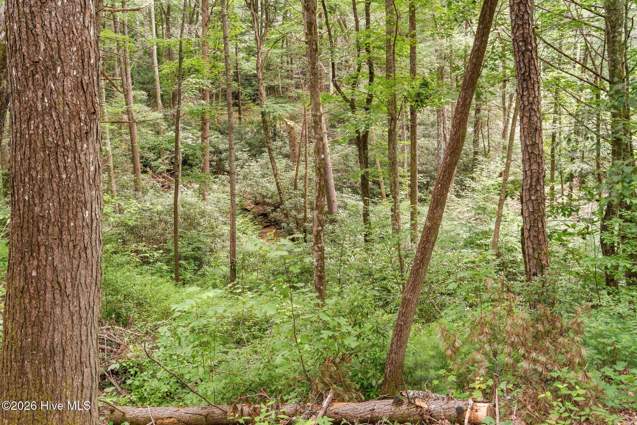 910 Laurel Branch Road, Murphy, NC 28906