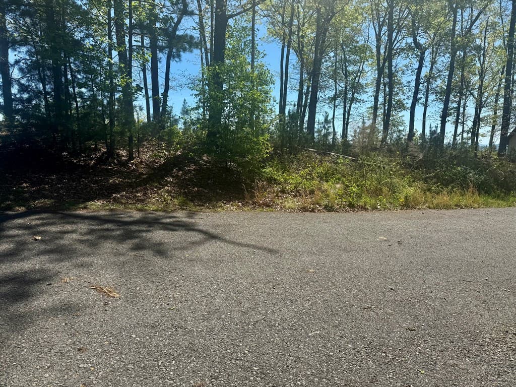 Residential Lot at 51 51 Wayah Ridge, Murphy, NC 28906, photo 6 of 6