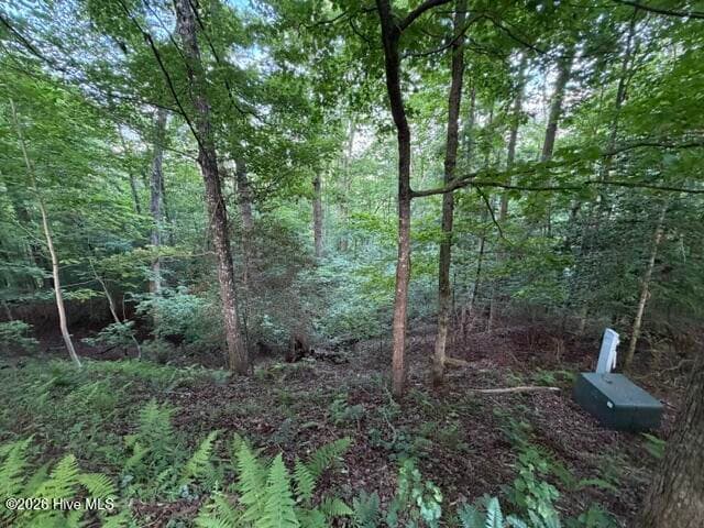 Undeveloped at Lot 59 Quiet Mountain Trail, Murphy, NC 28906, photo 2 of 10