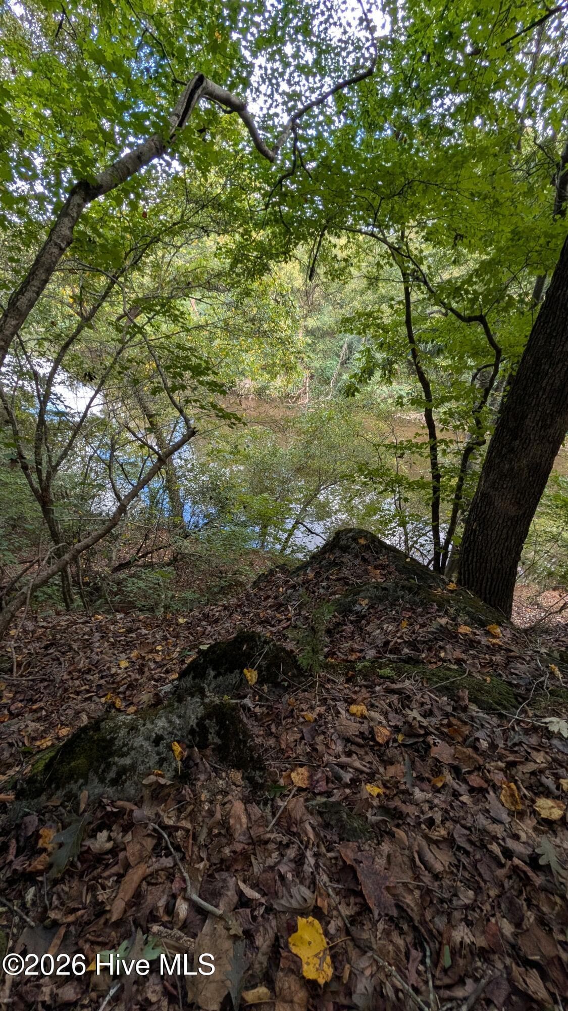 Residential Lot at Lot 5 Capelsie Road, Candor, NC 27229, photo 10 of 14