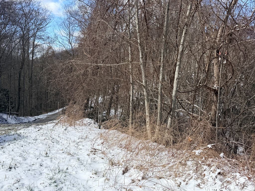 Residential Lot at Lot# 13 13 Noon Day Sun Road, Topton, NC 28781, photo 3 of 7