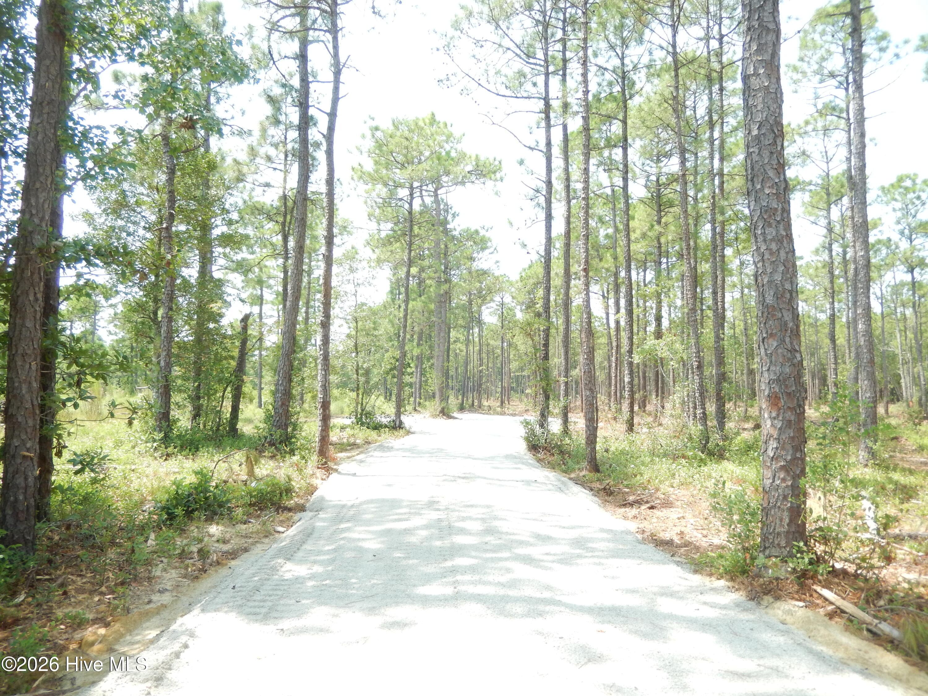 Undeveloped at 372 Greenview Ranches, Wilmington, NC 28411, photo 12 of 61