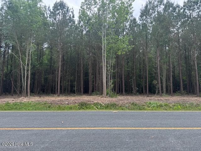 3 3 Great Swamp Road, Ernul, NC 28527