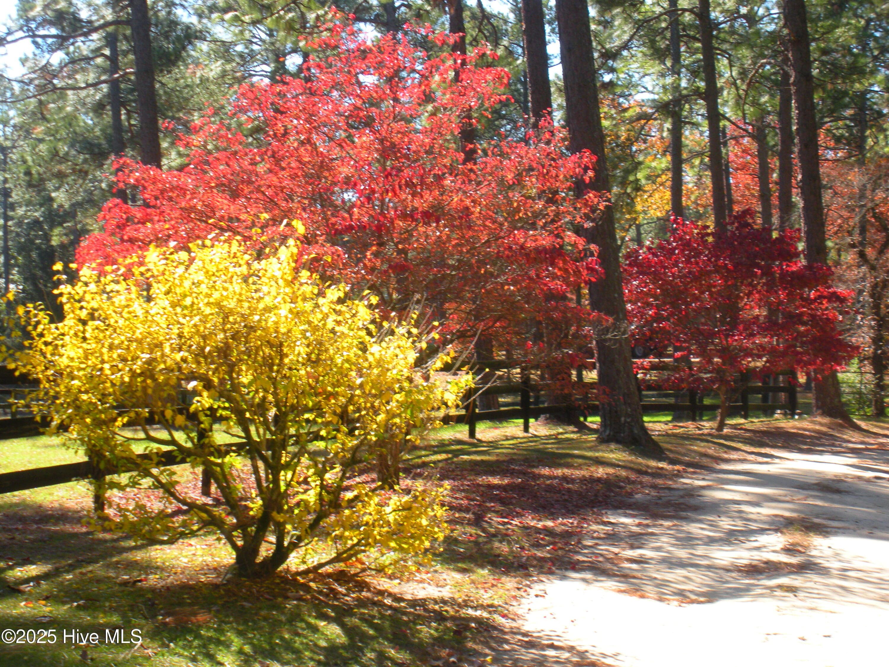 Single Family Residence at 292 Bump A Long Lane, Southern Pines, NC 28387, photo 19 of 82