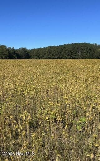 000 Nash County Line Road, Castalia, NC 27816