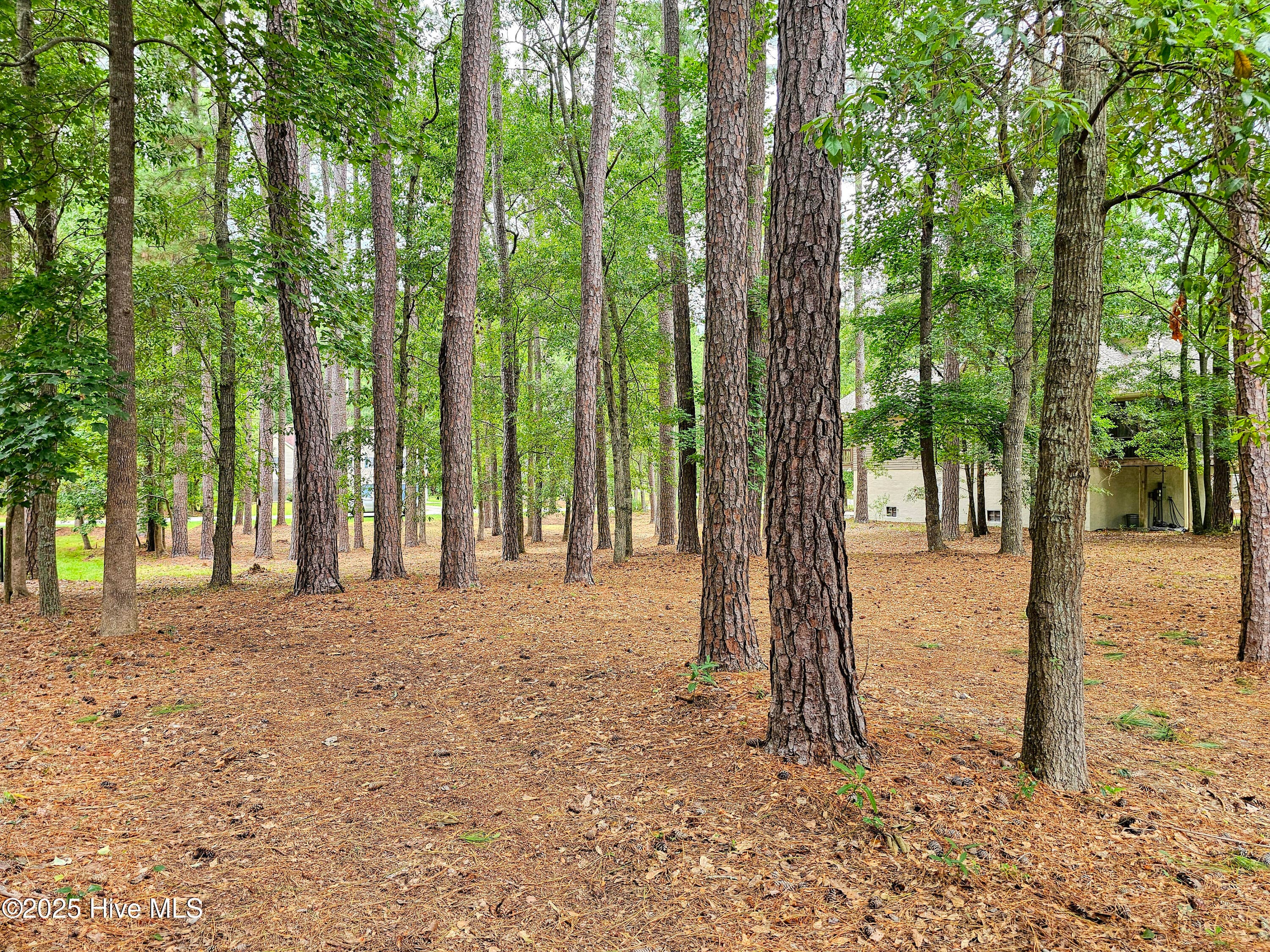 Residential Lot at 103 133 Greenbriar Lane, Washington, NC 27889, photo 4 of 24