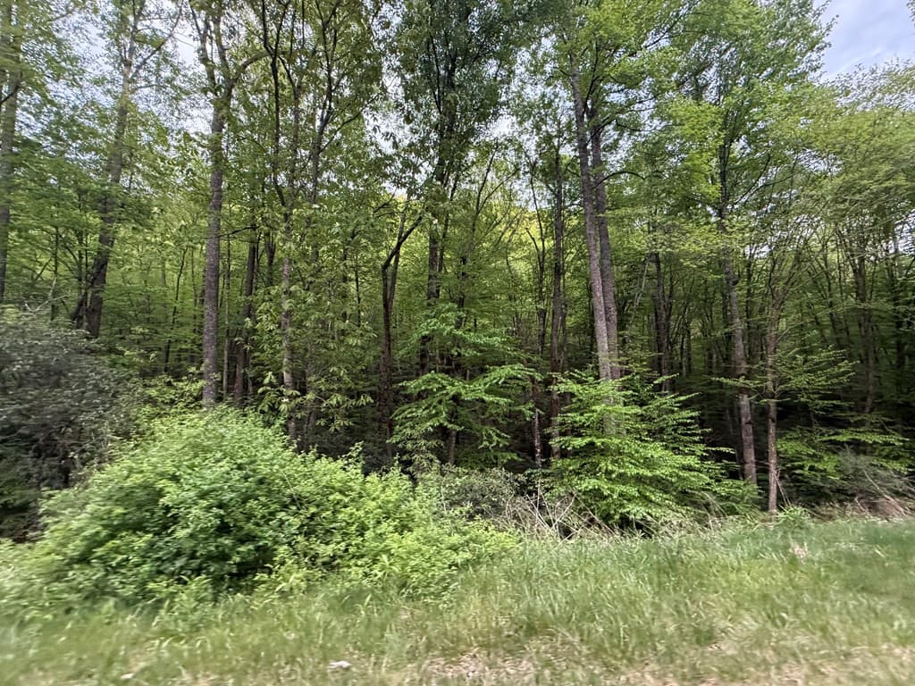 Lot 11& 15 11&15 Warrior Way Road, Andrews, NC 28781