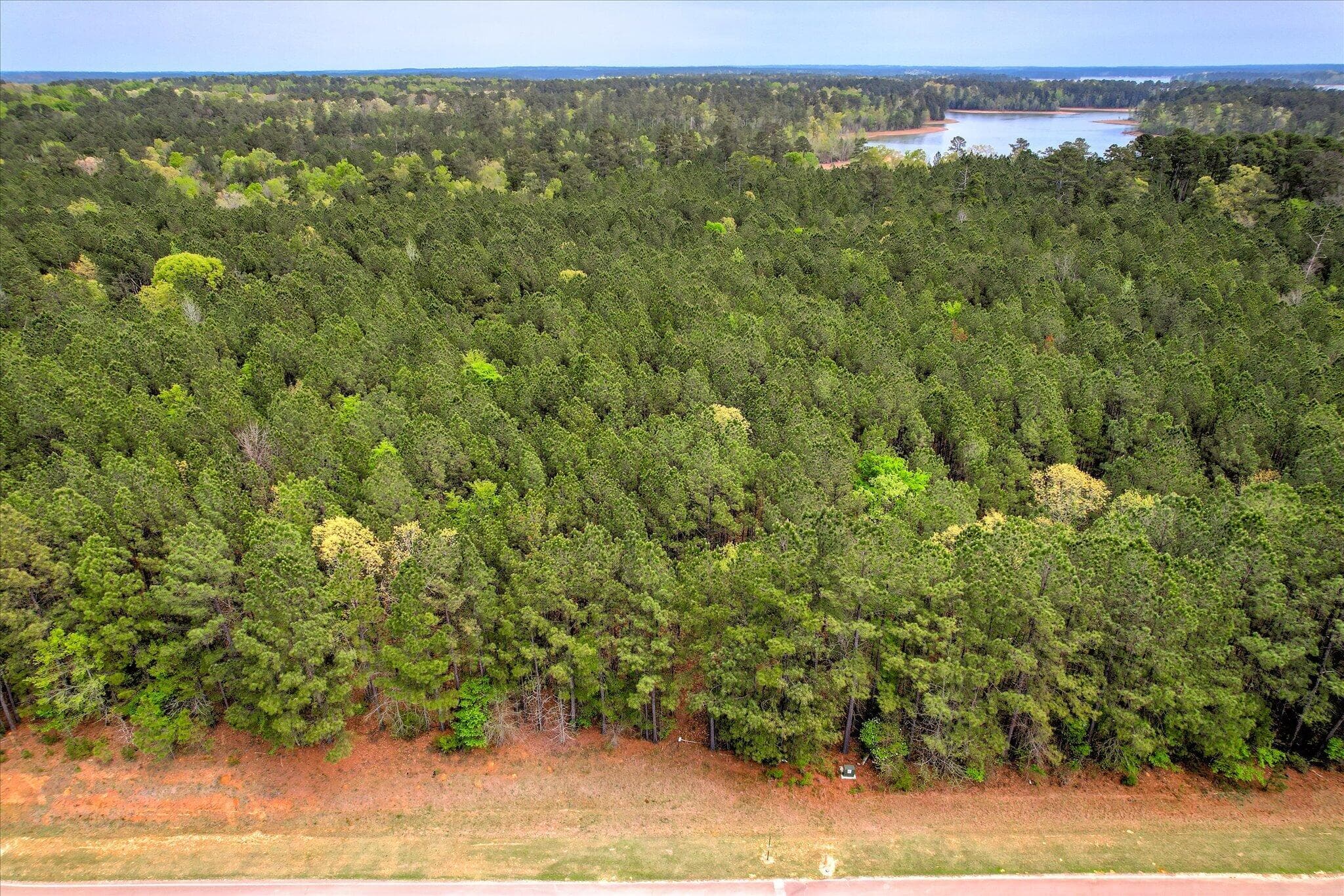 Lot 11 Ariel - 1066 Clinton-williams Road, Lincolnton, GA 30817