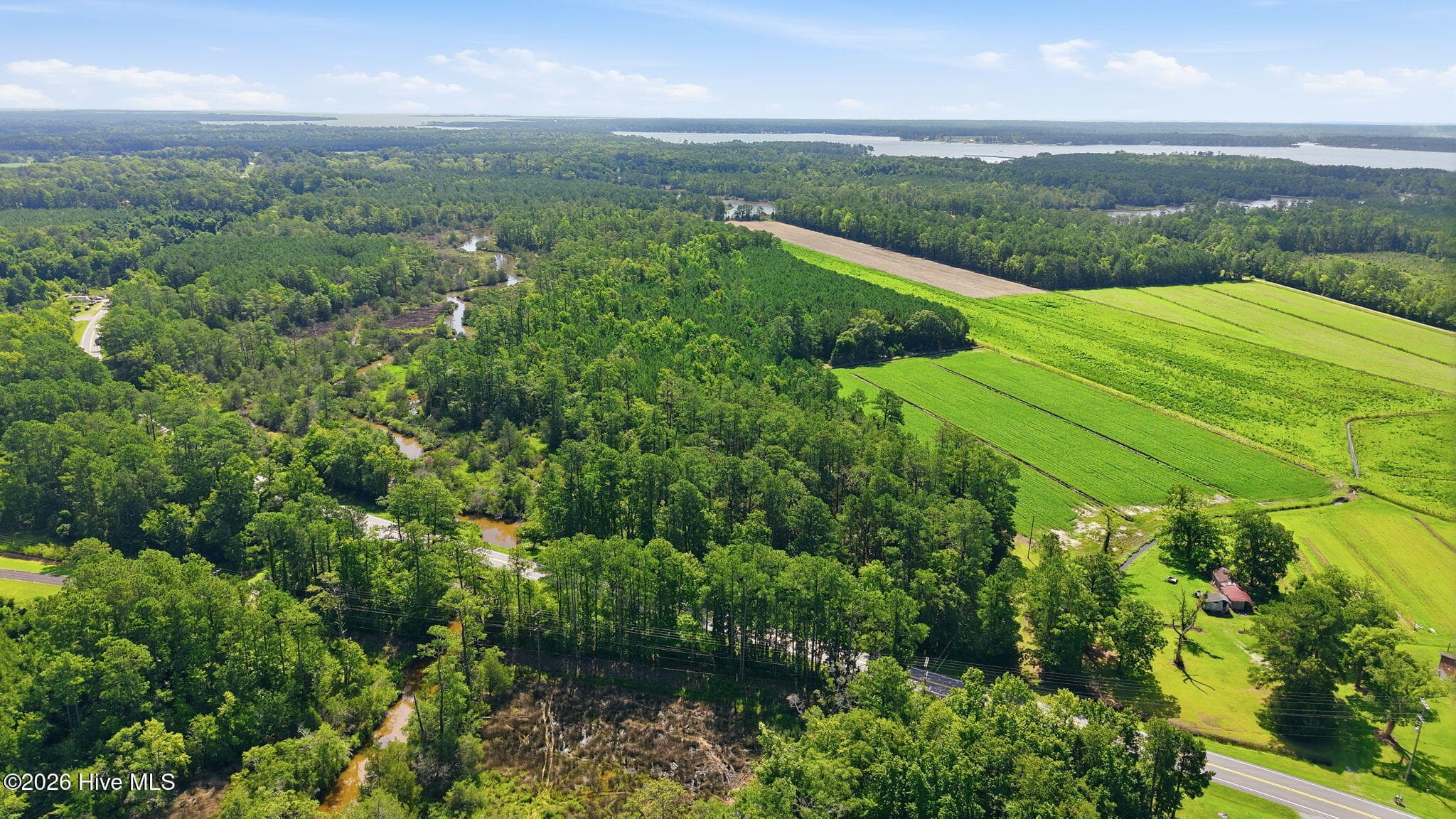 Undeveloped at 0 Nc 304, Bayboro, NC 28515, photo 4 of 21