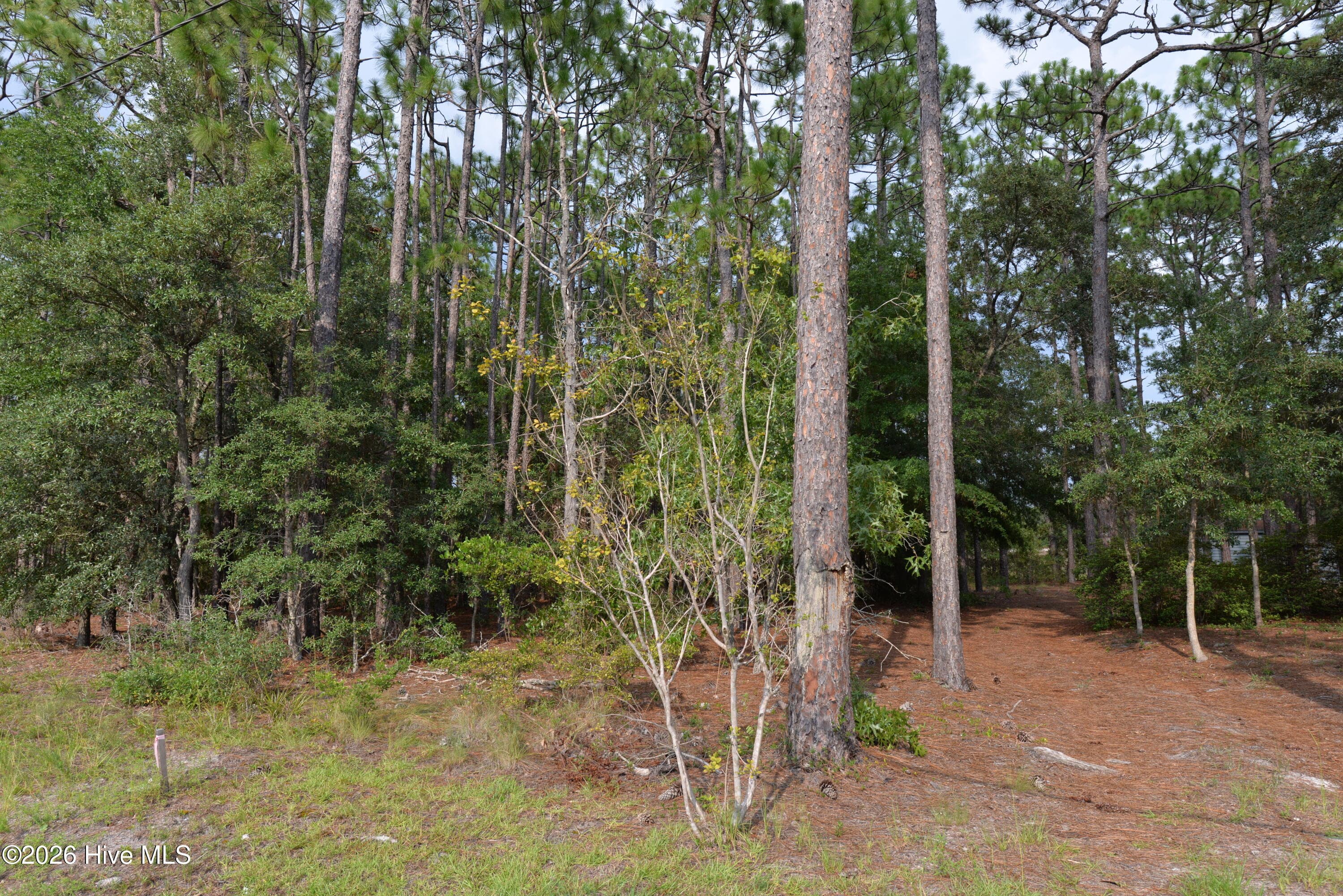 Residential Lot at 873 49 Eden Drive, Southport, NC 28461, photo 2 of 3
