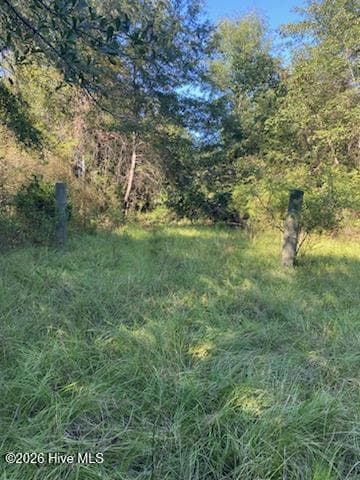 Agriculture at 1071 W 4 Points Road, Keysville, GA 30816, photo 2 of 4