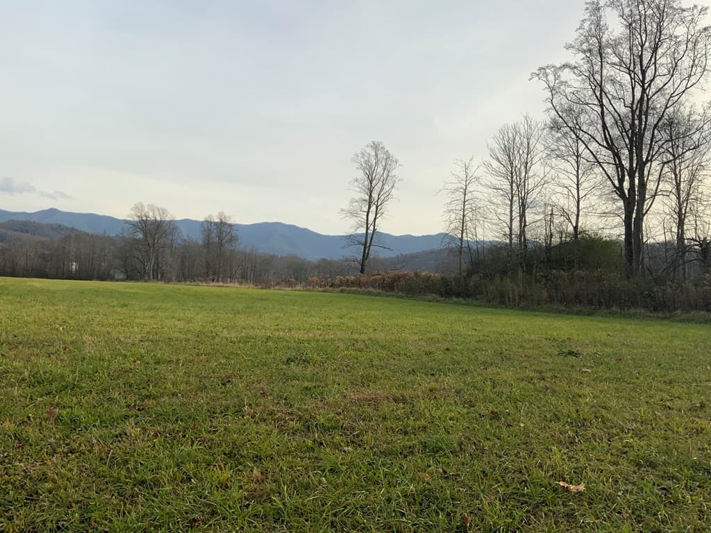 Land at 00 Main & Whitaker, Andrews, NC 28901, photo 7 of 11
