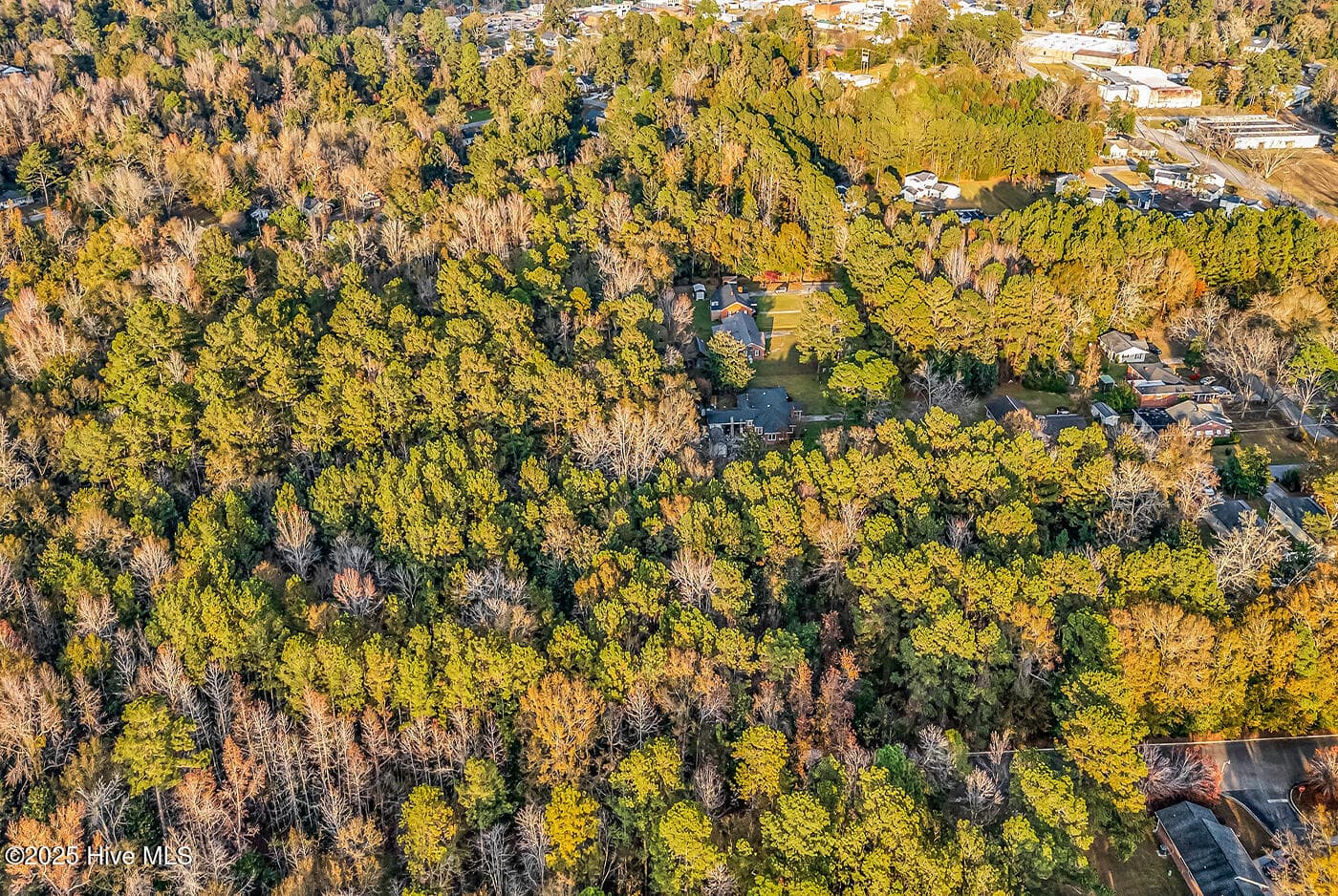 Residential Lot at 0 Woodrow Street, Tabor City, NC 28463, photo 9 of 11
