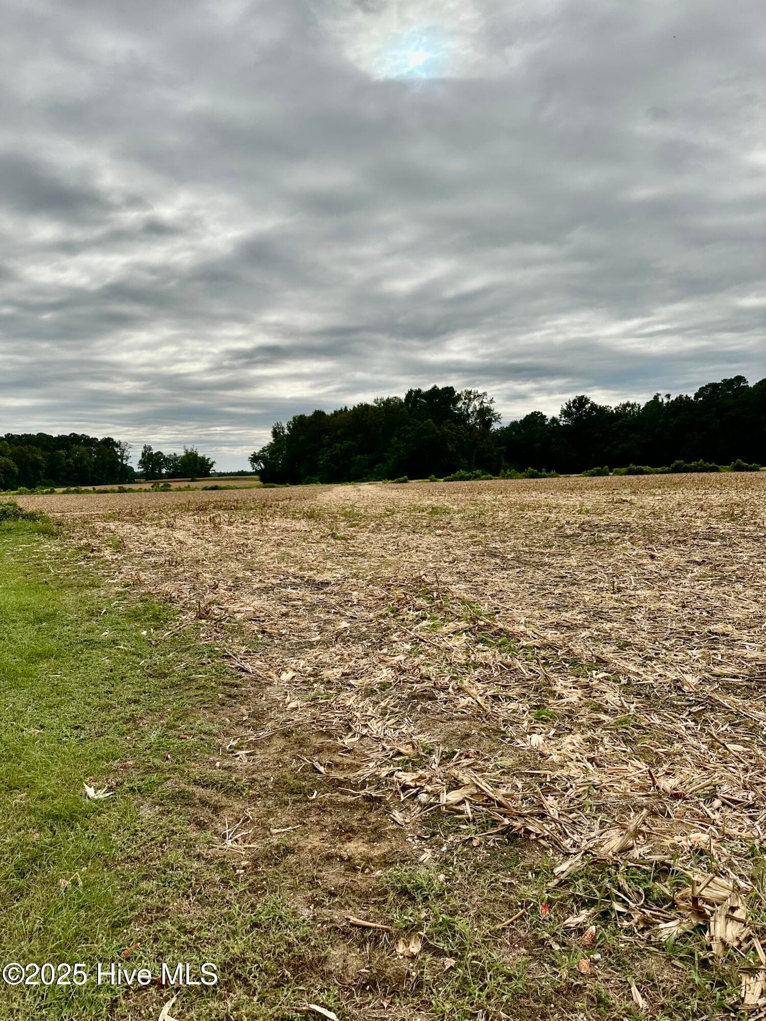 611 Cherry Town Road, Hallsboro, NC 28442