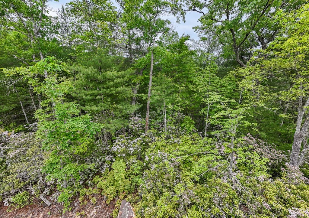 Land at 399 Shell Stand Road, Almond, NC 28702, photo 15 of 21