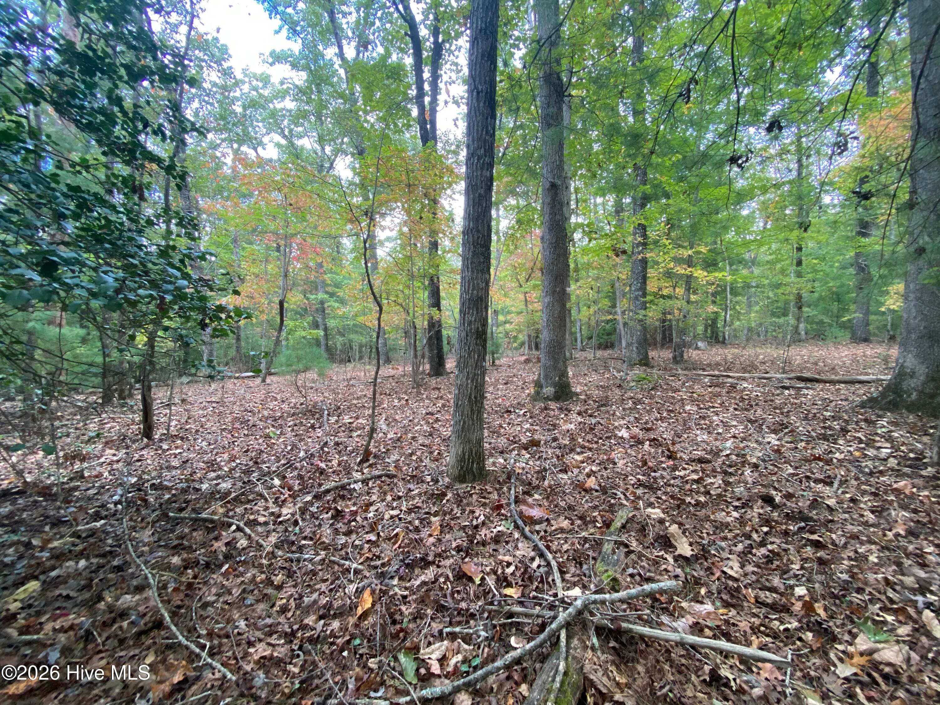 Wooded at 14 14 Mission Ridge, Hayesville, NC 28904, Hayesville, photo 6 of 14